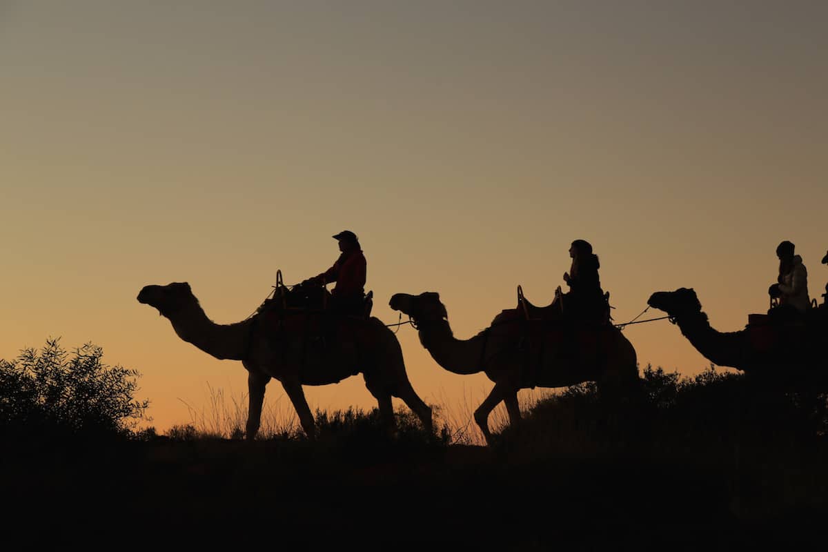 日出时在沙丘上下骑骆驼。
