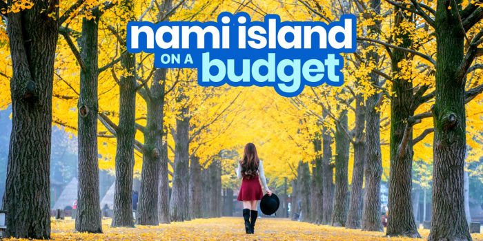 Nami Island Travel指南带预算行程
