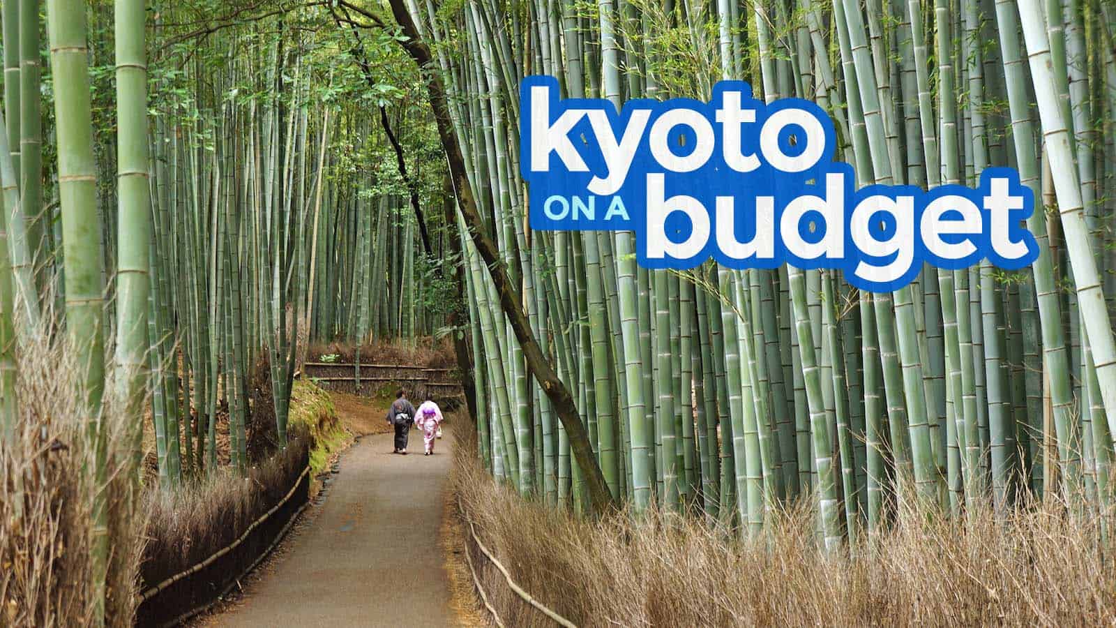 京都旅游指南:预算内行程，要做的事