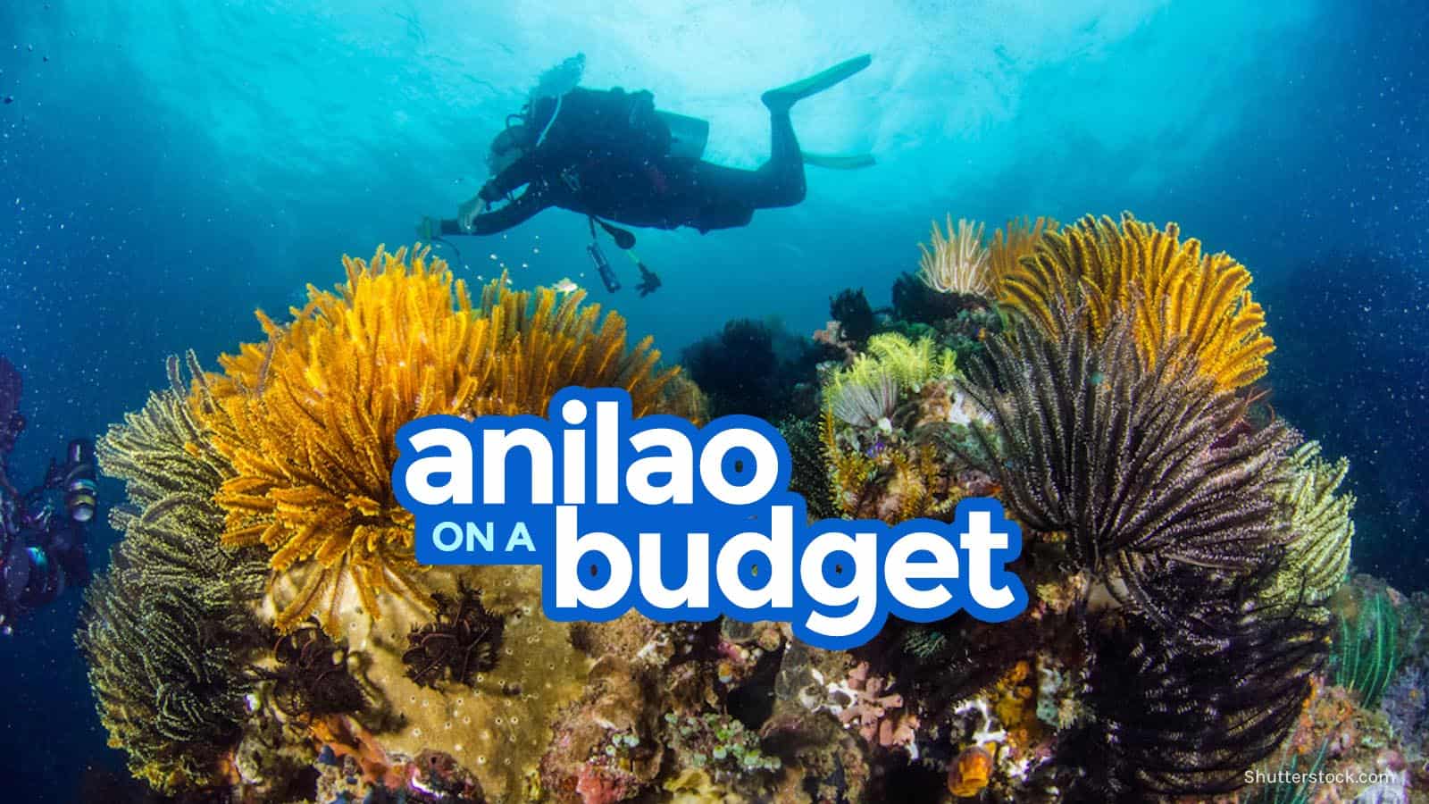 阿尼劳·巴丹加斯:旅游指南和预算行程