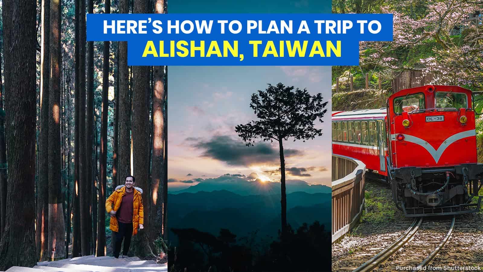 台湾阿里山:旅游指南附行程及预算样本